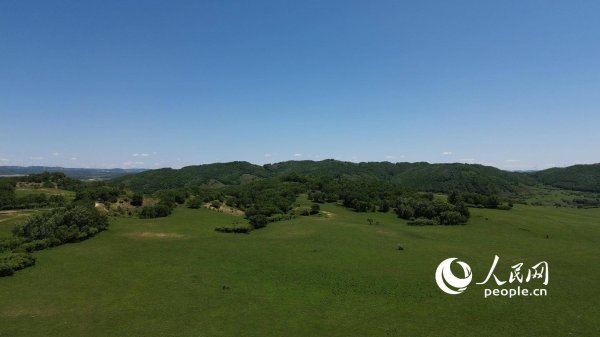泸深投 组图：纵情草原 乐享夏日